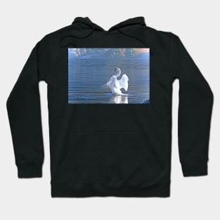 Swan Lake (Ullswater) Hoodie